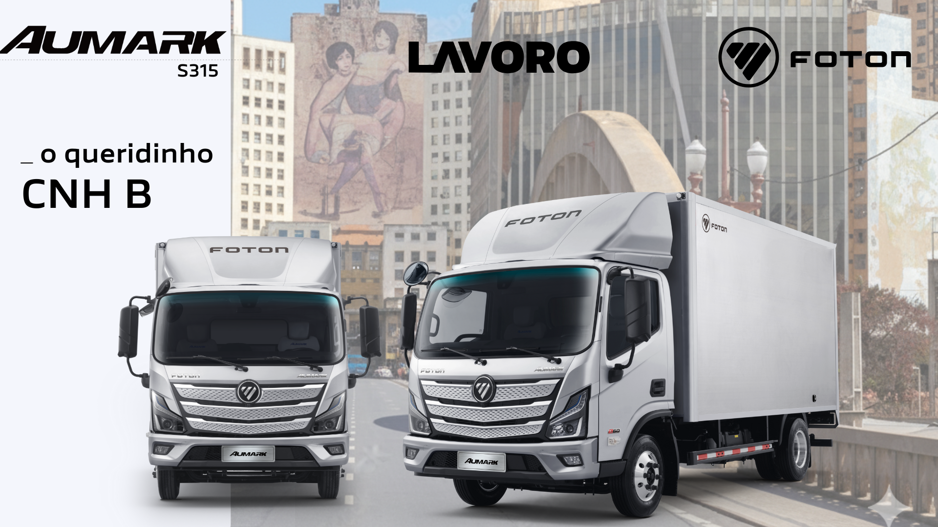 Foton Lavoro Aumark S315